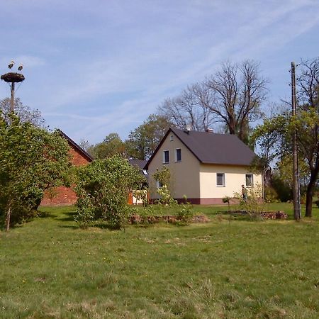 Ferienwohnung Am Storchennest Schmogrow エクステリア 写真