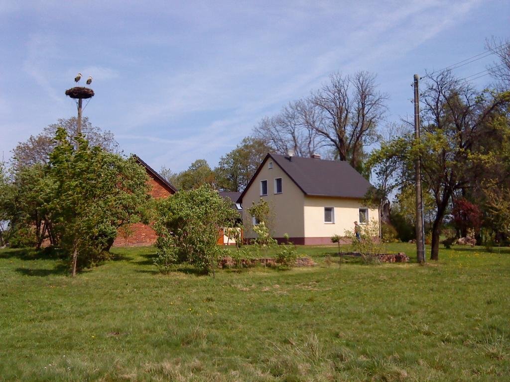 Ferienwohnung Am Storchennest Schmogrow エクステリア 写真