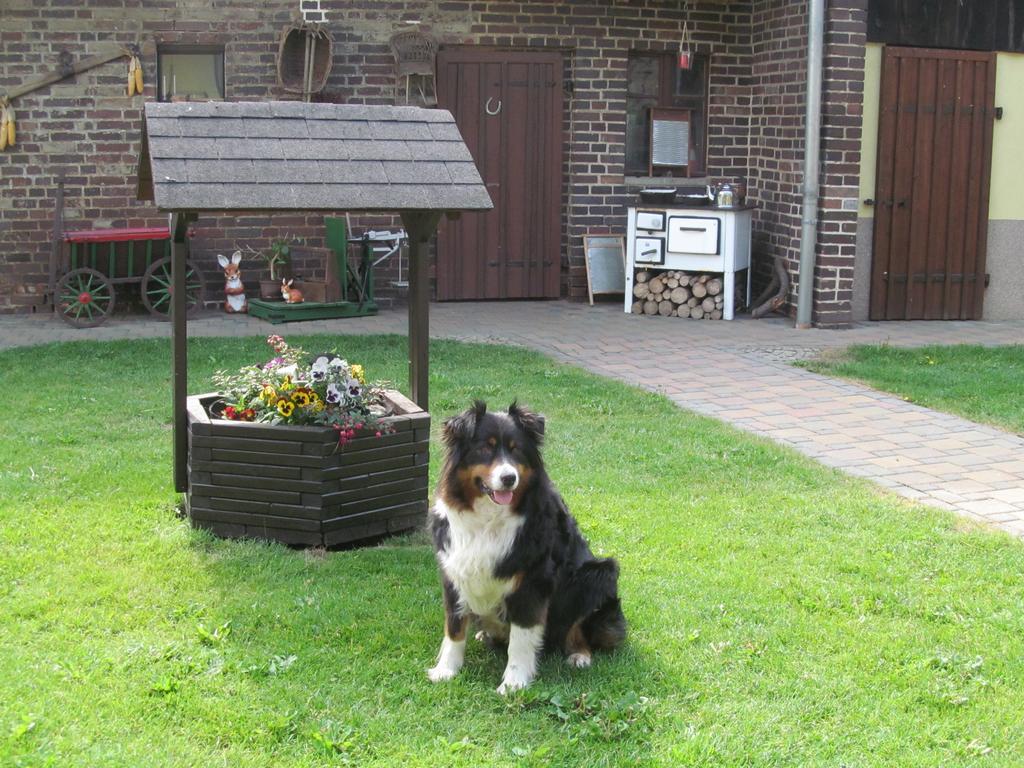 Ferienwohnung Am Storchennest Schmogrow エクステリア 写真